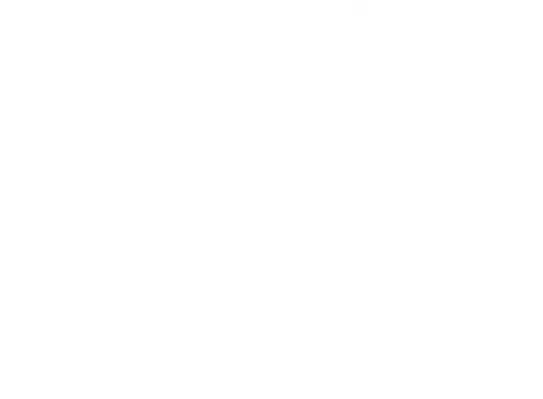 Neriva • Vector 8